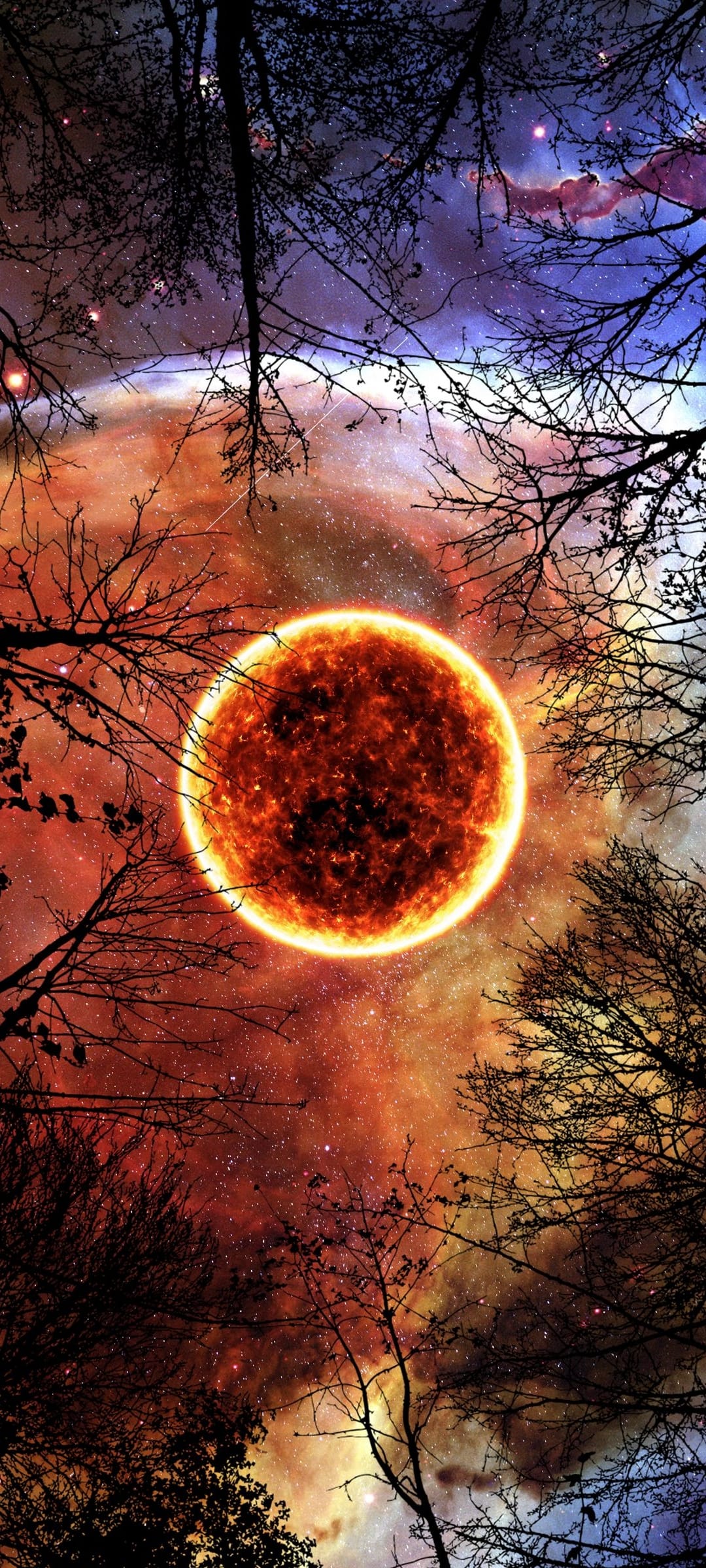 Glowing orange sun centered within a vibrant cosmic nebula behind dark, silhouetted tree branches in deep space.