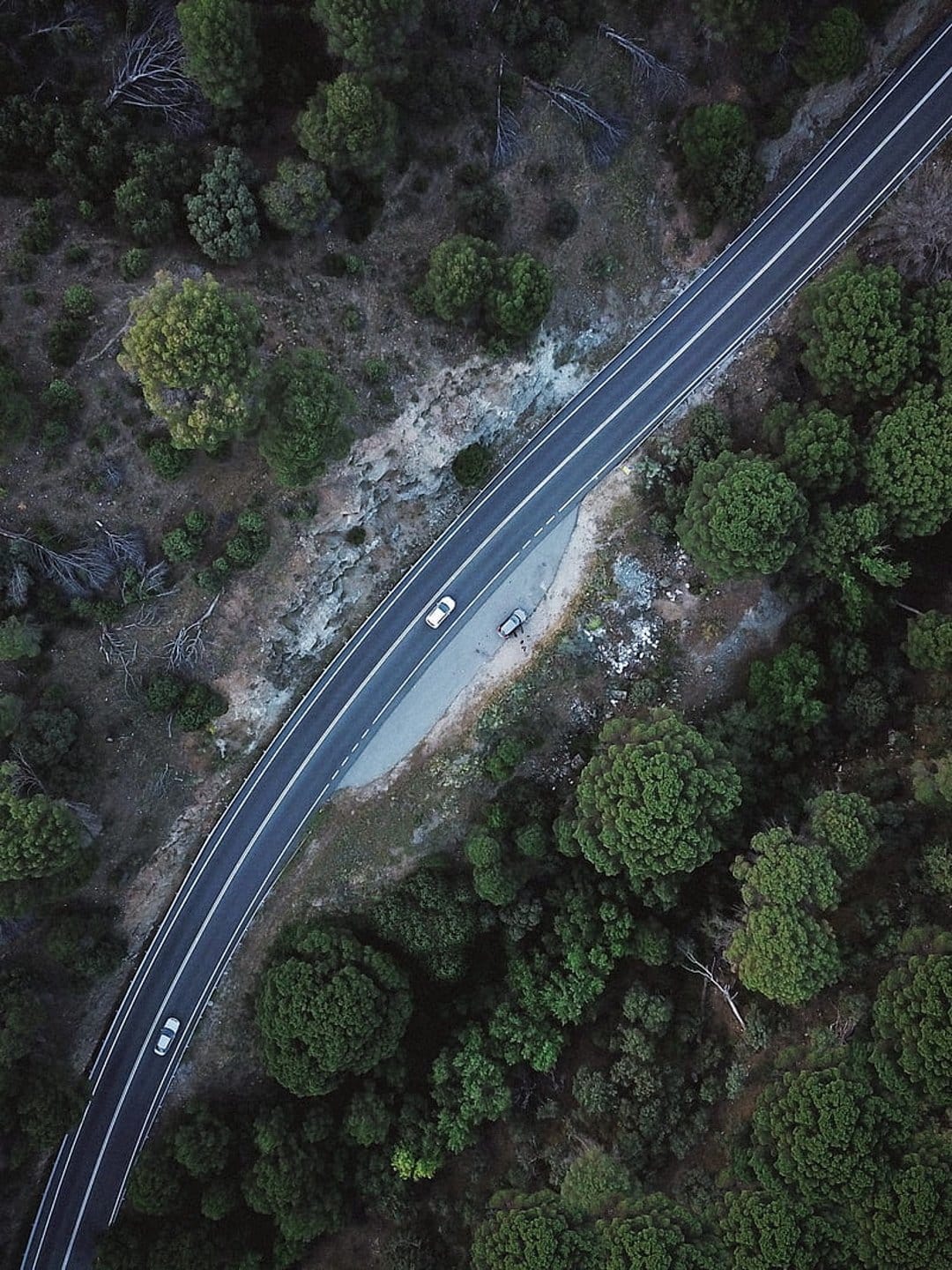 Dense green forest surrounds a winding grey asphalt road featuring a white sedan and a parked dark vehicle.