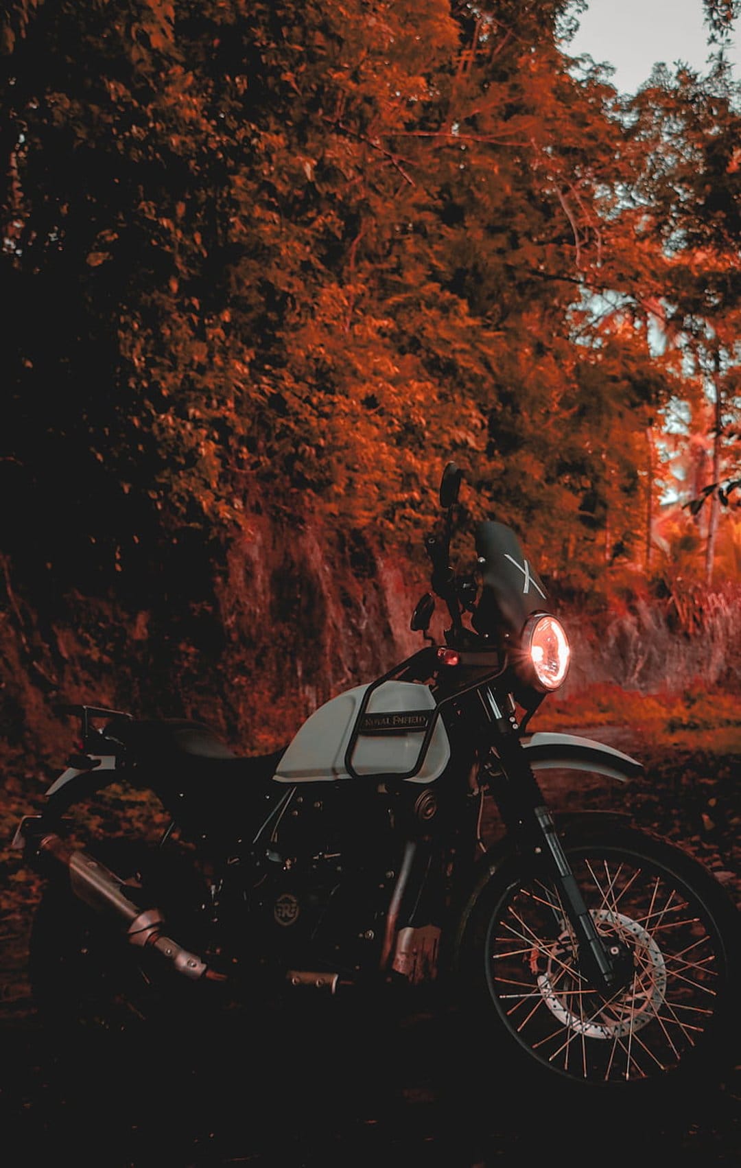 Royal Enfield Himalayan motorcycle with glowing headlight on a forest path surrounded by red autumn leaves.