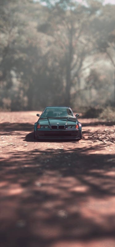 car,bmw,forest,trees,green