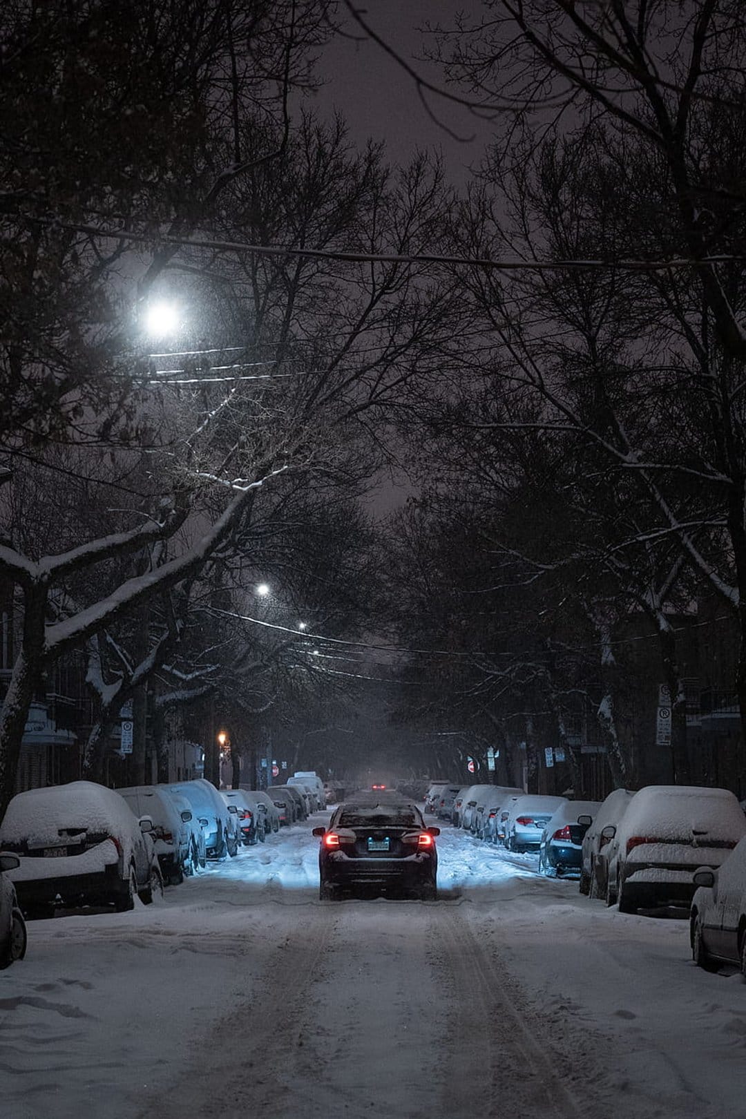Car headlights illuminate a snow-covered street lined with frost-dusted bare trees under a dark night sky.