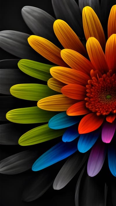 flower,petals,colorful,macro