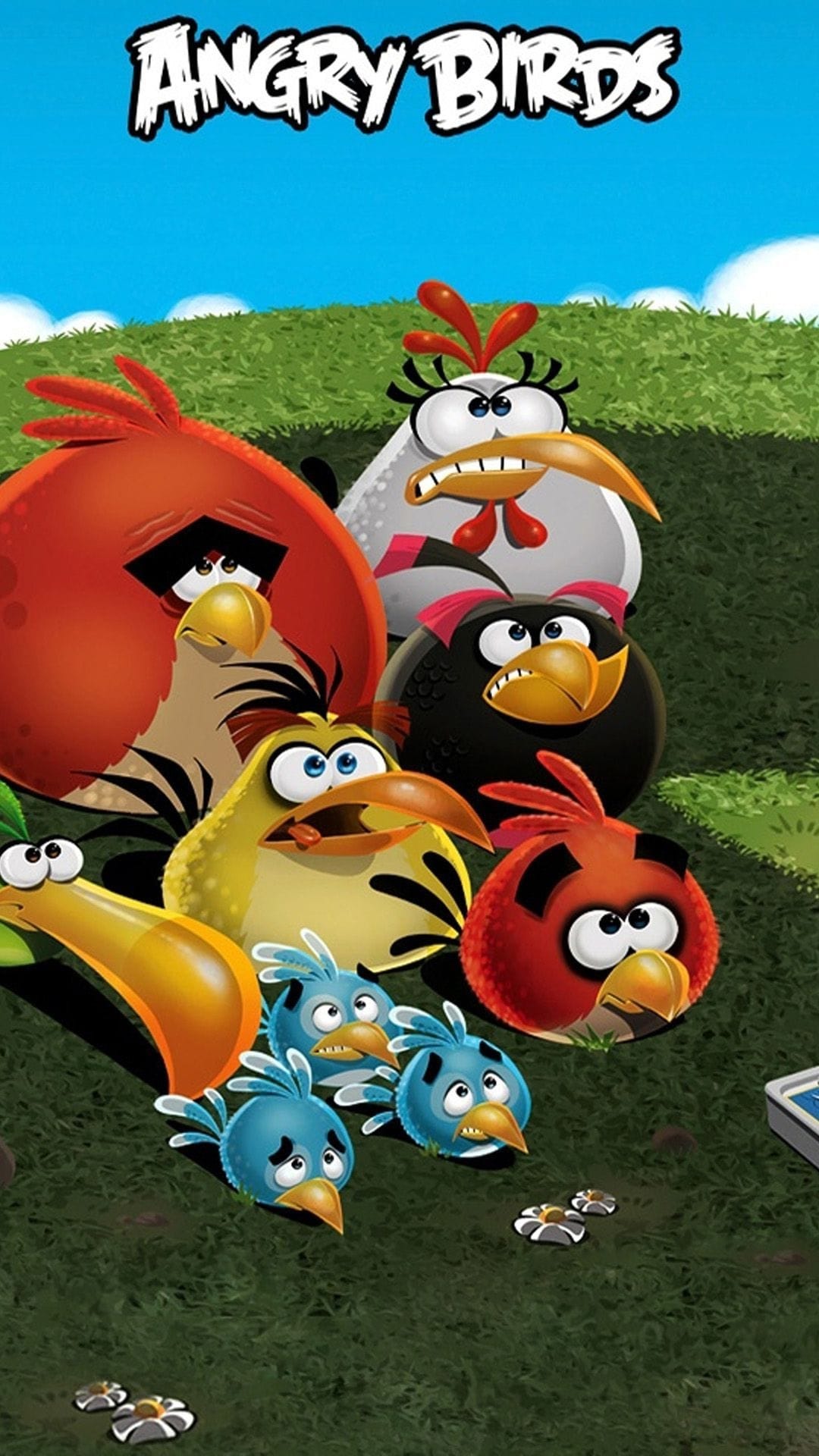 Angry Birds characters stand on a grassy field under a blue sky with the game logo at the top.