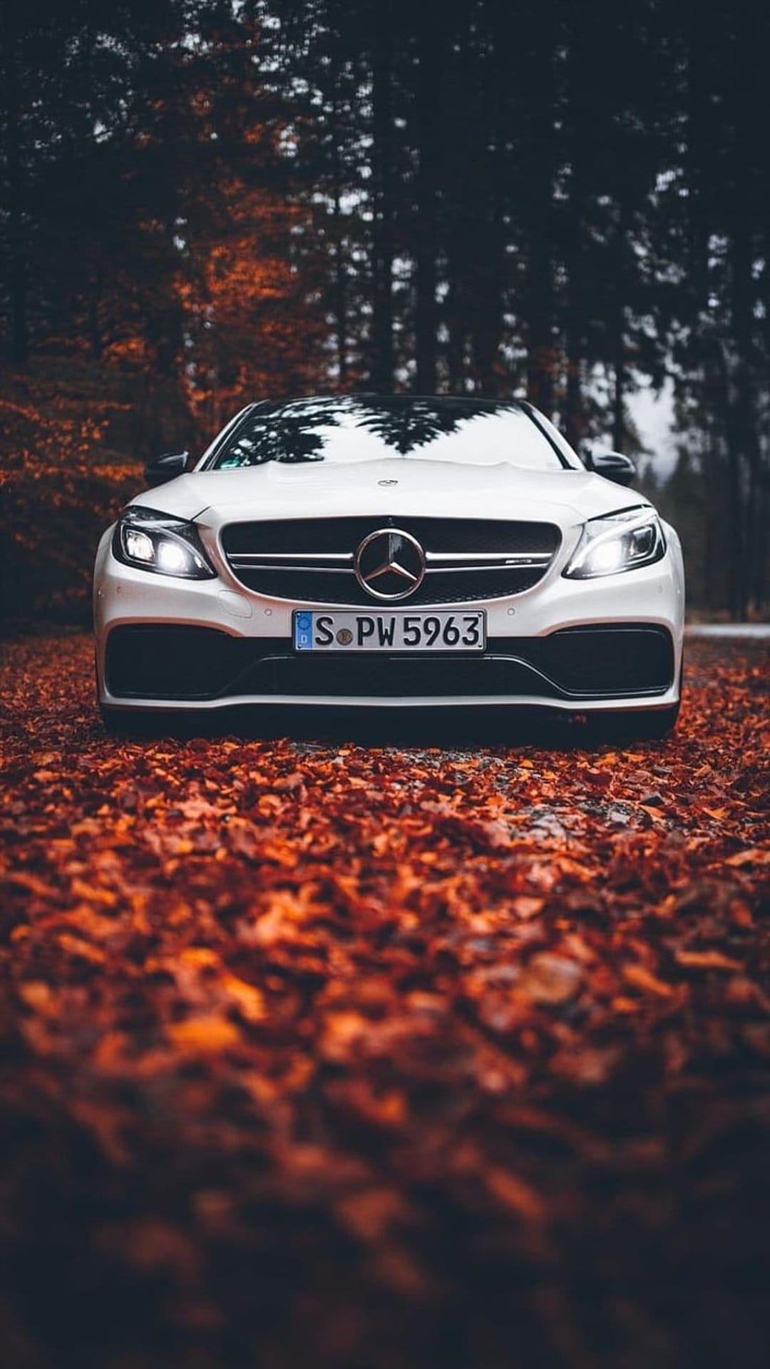 White Mercedes-AMG C63 S Coupe parked on vibrant orange autumn leaves within a dense, shadowy forest clearing.