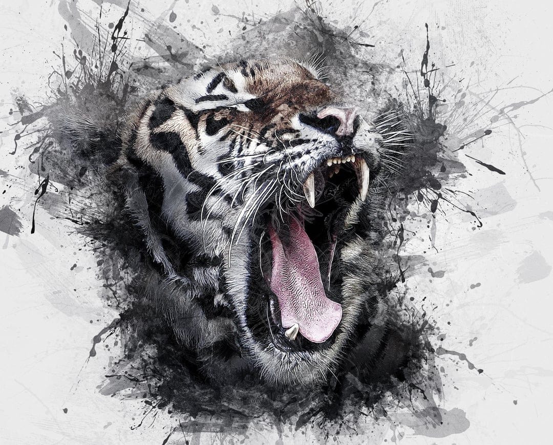 Roaring tiger with bared teeth and pink tongue surrounded by dynamic black ink splatters on a white background.