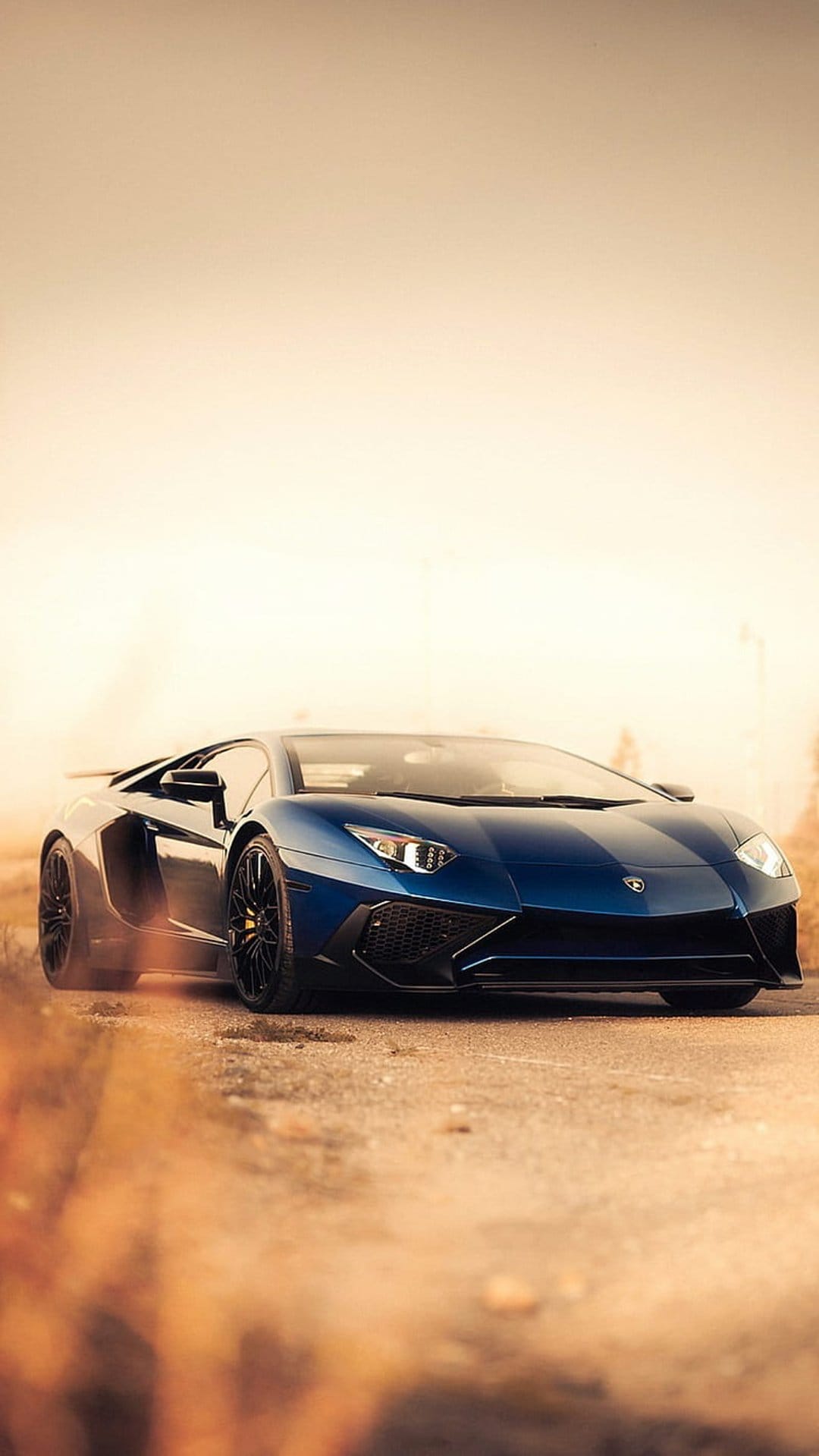 Blue Lamborghini Aventador sports car parked on a sun-drenched dusty road with golden grass in the foreground.