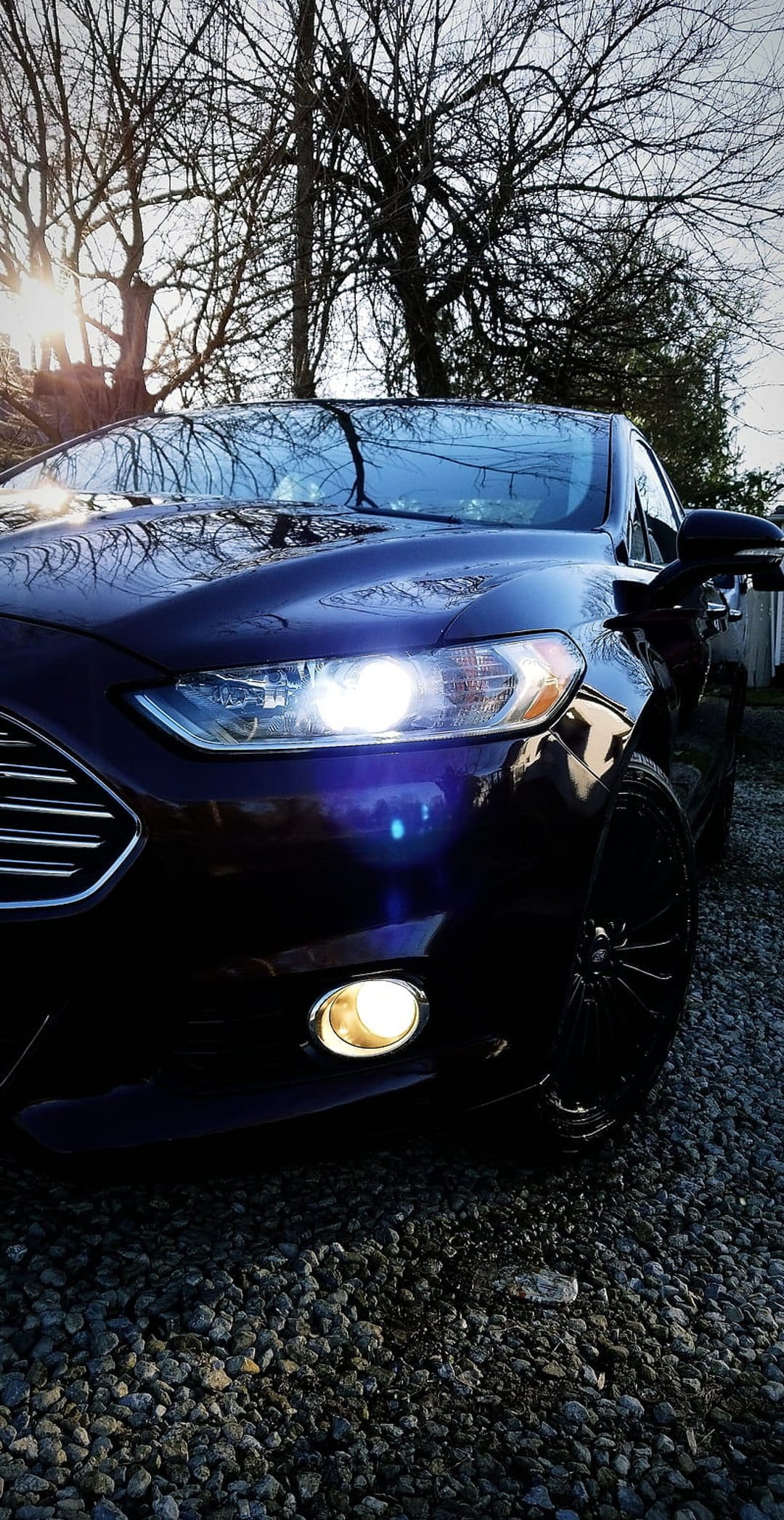 Ford Fusion sedan on a gravel driveway with glowing headlights and a warm sun flare through bare tree branches.