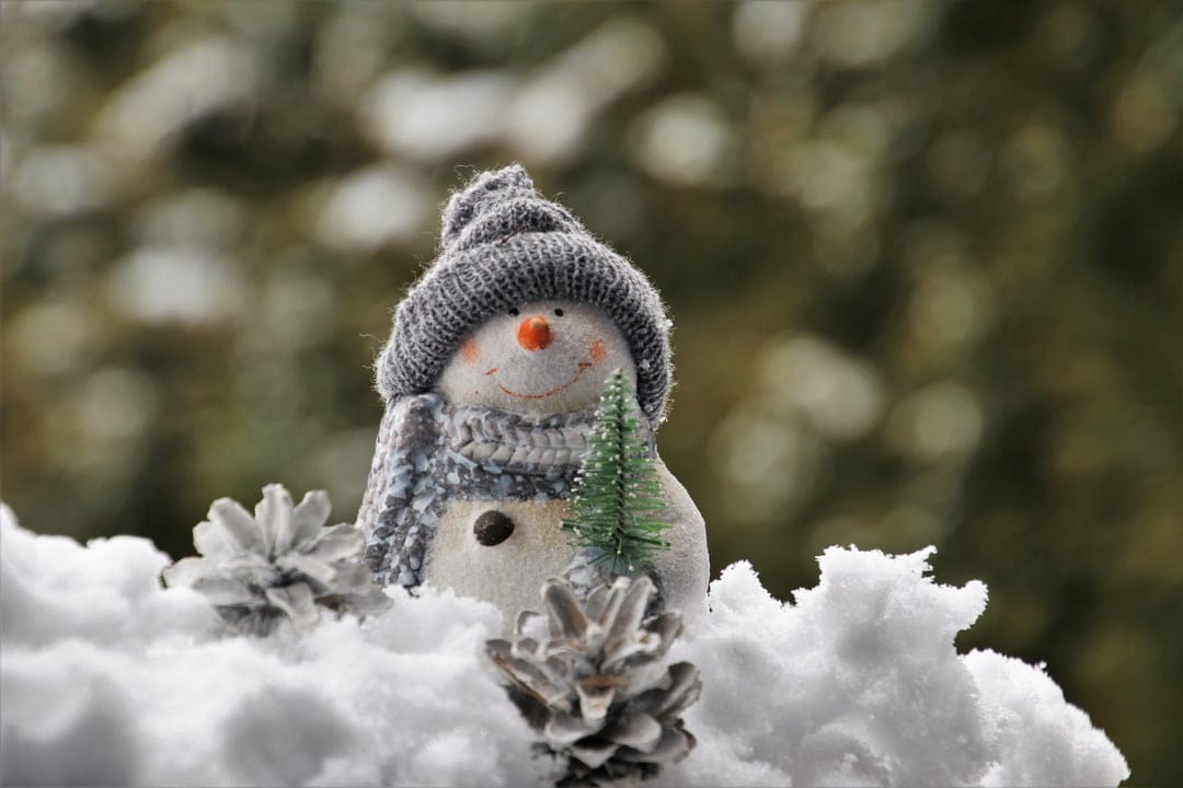 Ceramic snowman figurine wearing a knit hat sits in snow with pinecones and a miniature tree in a forest.