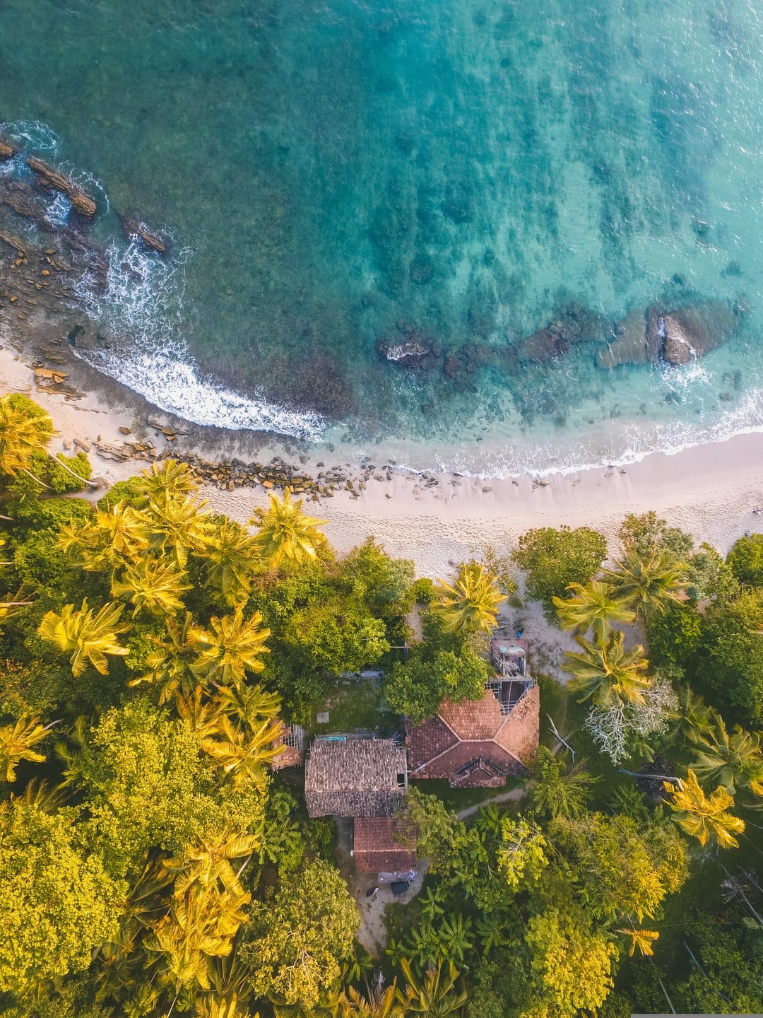 Weathered stone ruins nestle inside a dense palm forest bordering a turquoise ocean beach from a high angle.