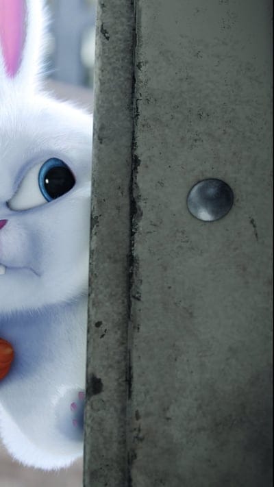 Pets, cartoon, cute, rabbit, the secret life of pets, white