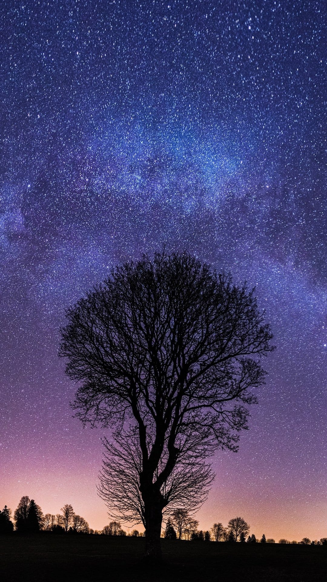 Solitary tree silhouette stands beneath a curved Milky Way galaxy with a glowing pink and orange night horizon.