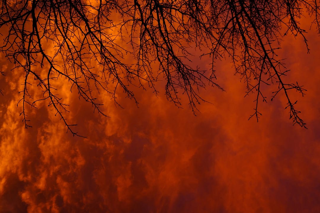 Dark skeletal tree branches stand against a vivid backdrop of glowing orange and deep red sunset clouds at dusk.