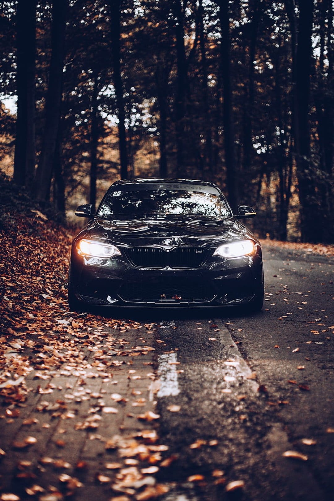 Black BMW M2 parked on a wet asphalt road covered in orange autumn leaves with glowing headlights in a dark forest.