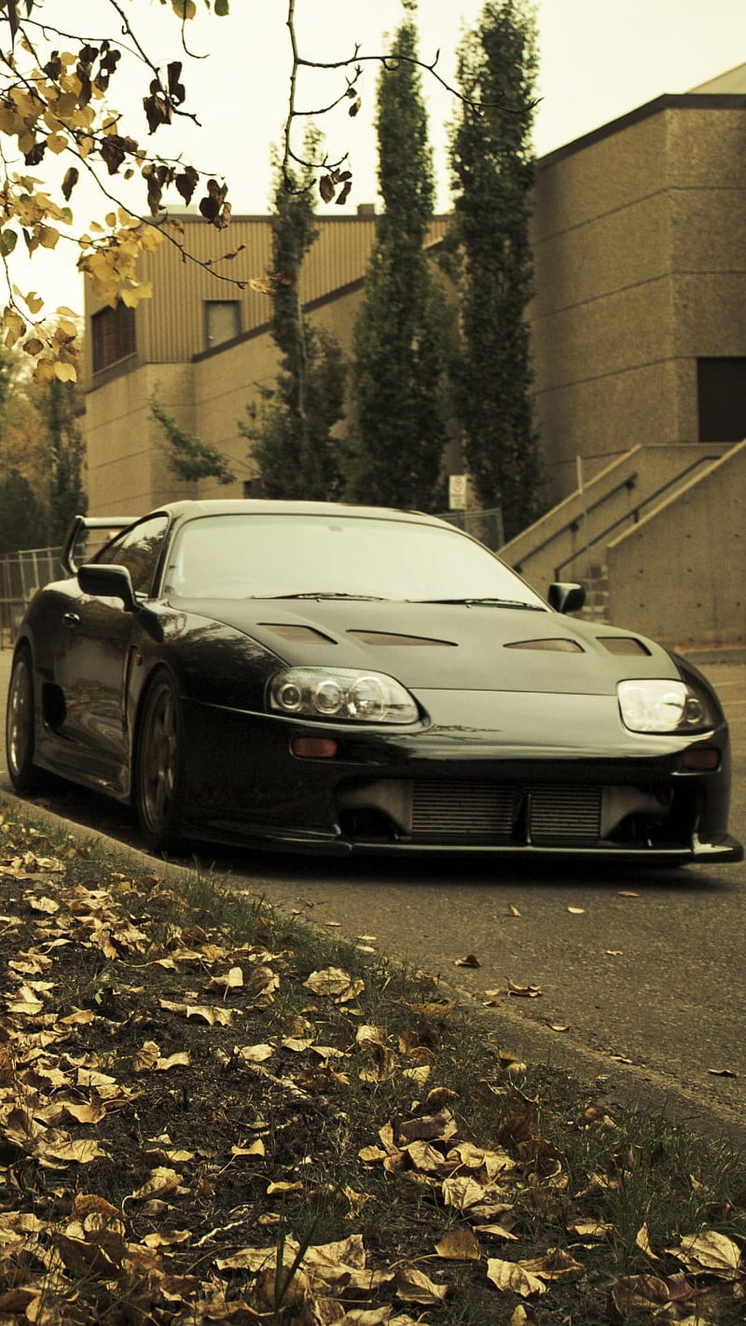 Black Toyota Supra Mk4 parked on a roadside covered in orange autumn leaves under soft seasonal lighting.