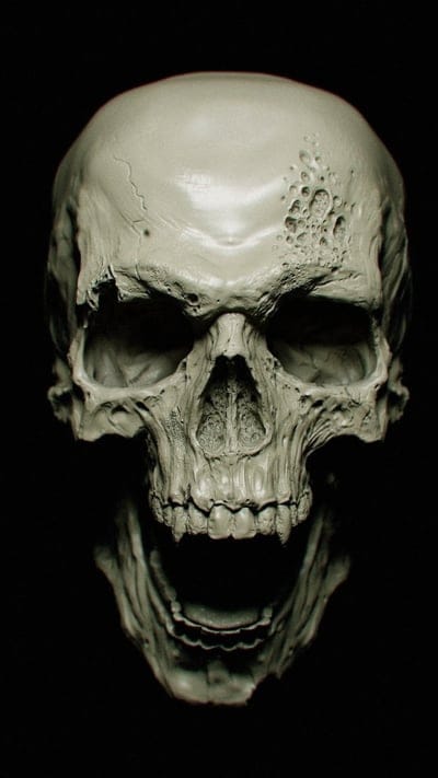 Skull, skull, digital art, artist