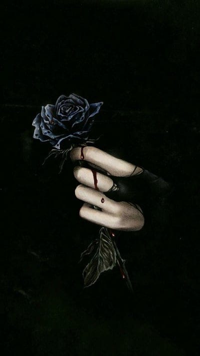 rose,rose