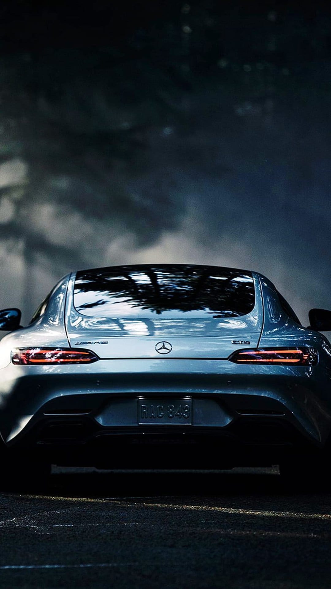 Mercedes-AMG GT rear view featuring glowing red taillights, a silver emblem, and dark tree reflections on the body.