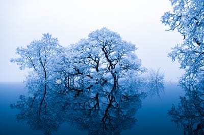 nature,inspiration,laptop wallpaper,full hd wallpaper,4k wallpaper,mac wallpaper,trees,blue,beautiful nature,desktop backgrounds,reflection,beautiful wallpaper,windows wallpaper,abstract,4k wallpaper,nature wallpaper,wallpaper hd,contours,artistic,art