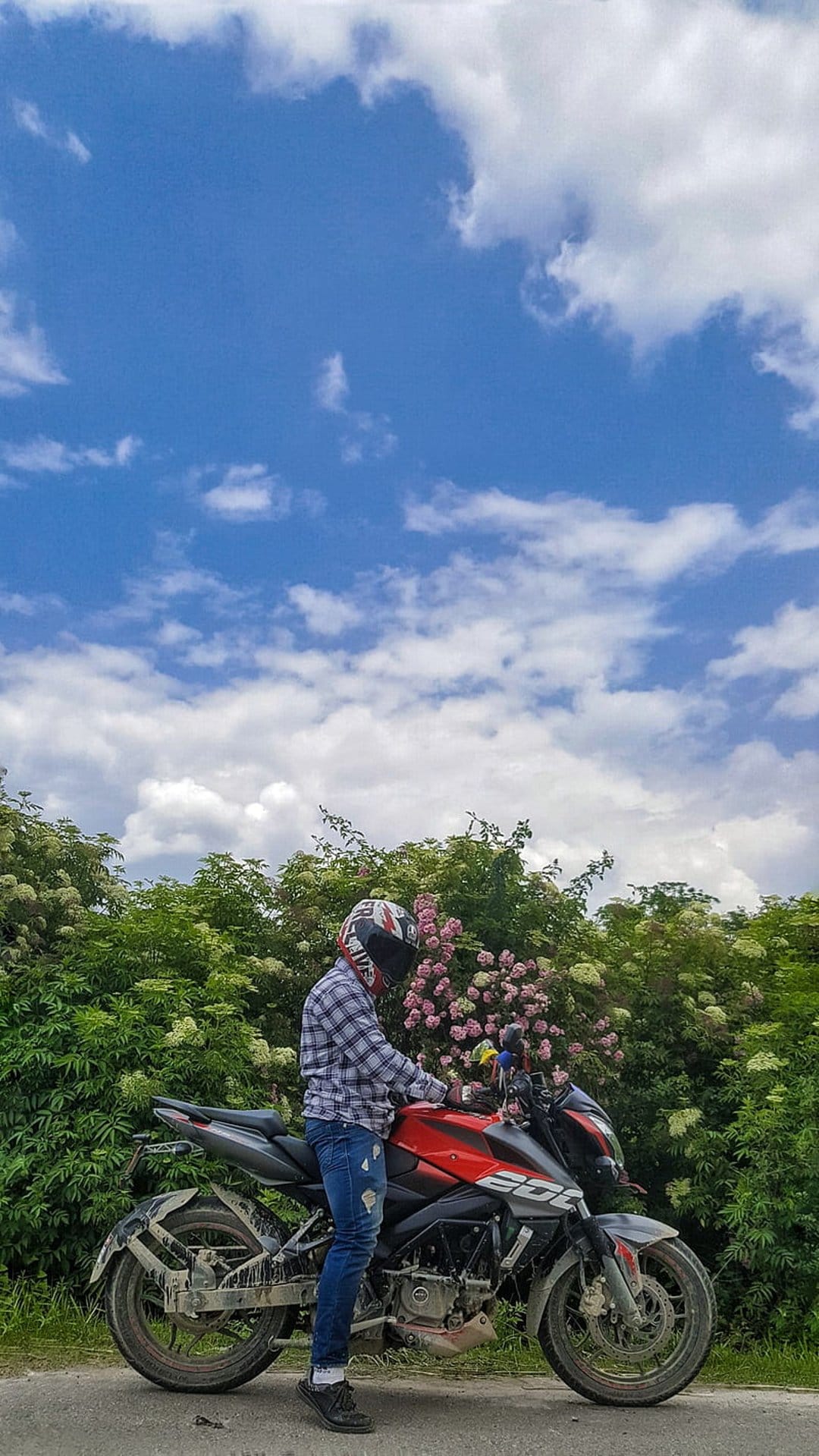 Motorcyclist on a red bike sits among pink flowers and green trees under a blue sky in a rural setting.