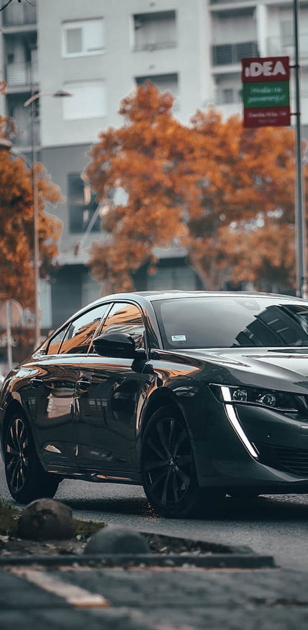Dark luxury sedan parked on a city street with orange autumn trees and modern glass buildings in the background.