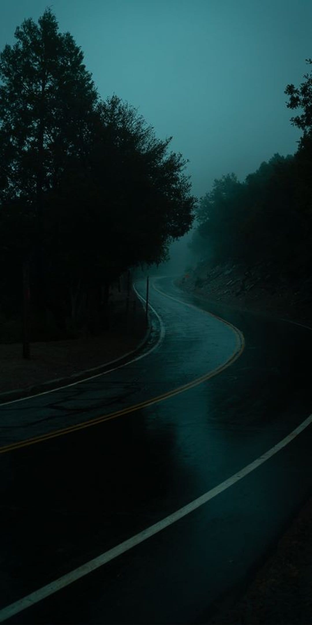 Winding asphalt road curves through a dense, foggy forest of tall dark trees under a grey, overcast sky.