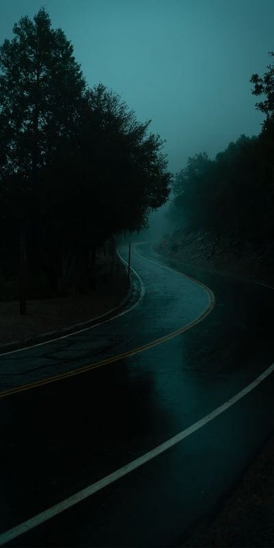 Road, Forest, Misty, Dark, Nature, Trees, Wet, Winding, Atmospheric, Solitude, Moody, Rainy, Outdoors, Landscape, Serene, Journey, Path, Green, Wilderness, Twilight