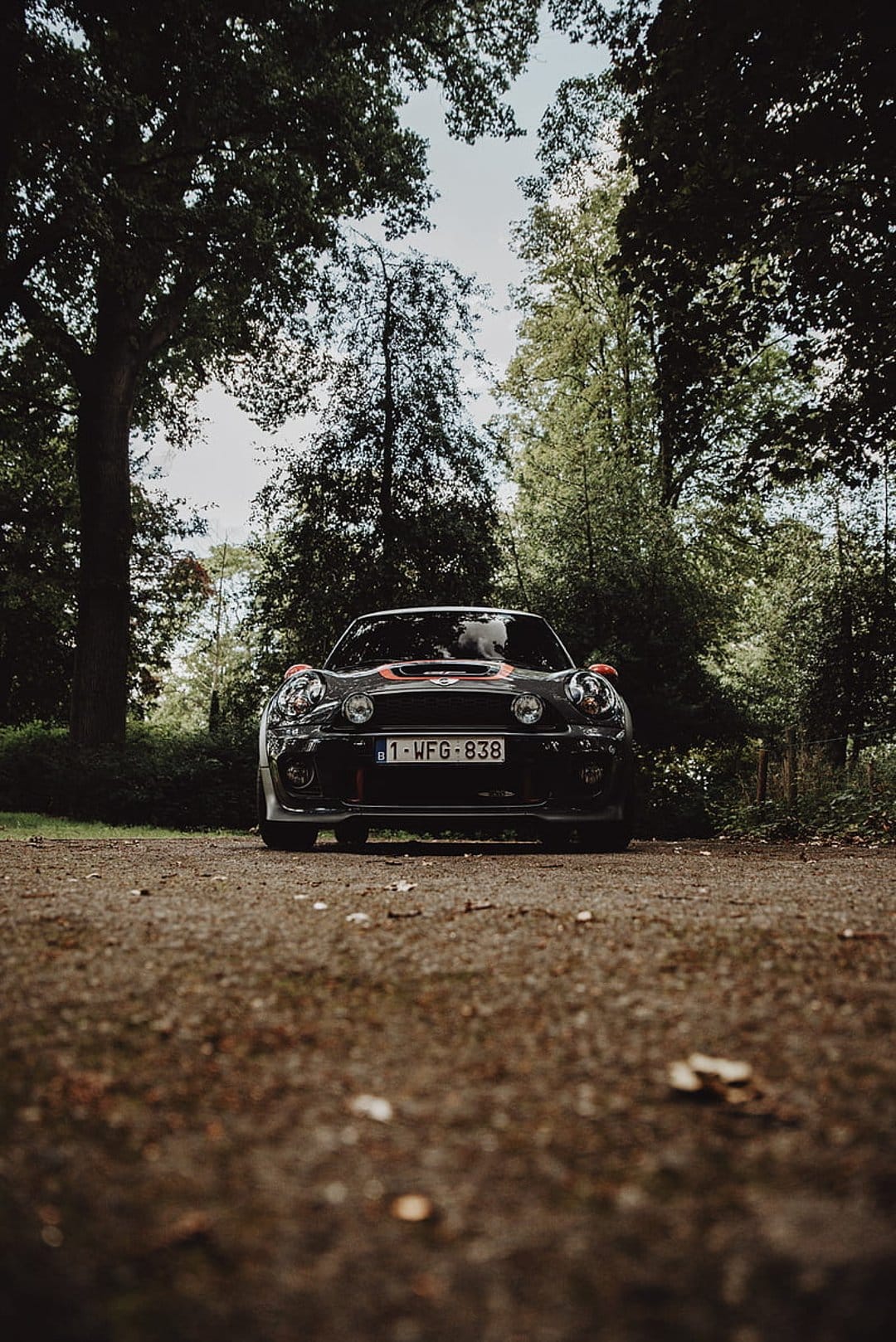 Black Mini Cooper with glowing headlights parked on a dirt path surrounded by lush green trees in a forest.