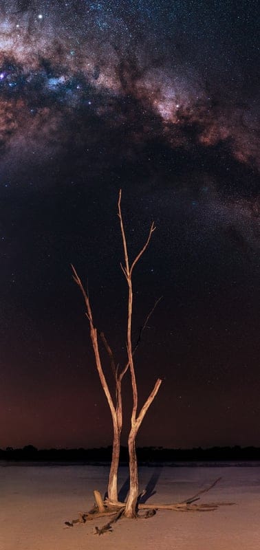 Milky Way, Night Sky, Tree, Dead Tree, Salt Flat, Landscape, Astronomy, Nature, Cosmic, Stars, Outdoors, Solitary, Desolate, Ethereal, Vast, Sky, Galaxy, Astrophotography, Surreal, Dark