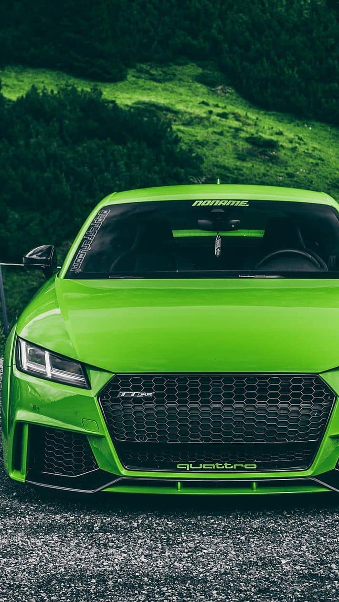 Audi TT RS with a bright green finish, honeycomb grille, and LED headlights parked on a grassy mountain road.