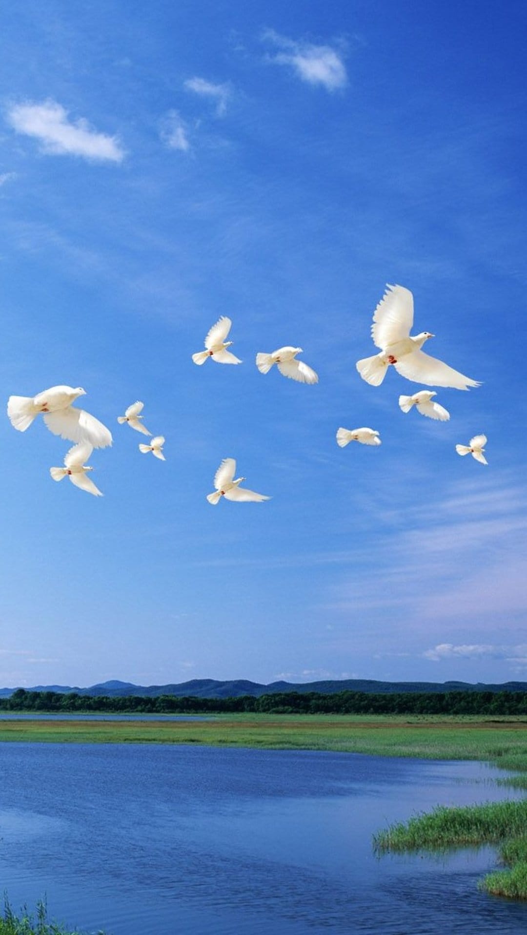 White doves fly through a blue sky over a reflective mountain lake and green reeds in a vertical landscape.