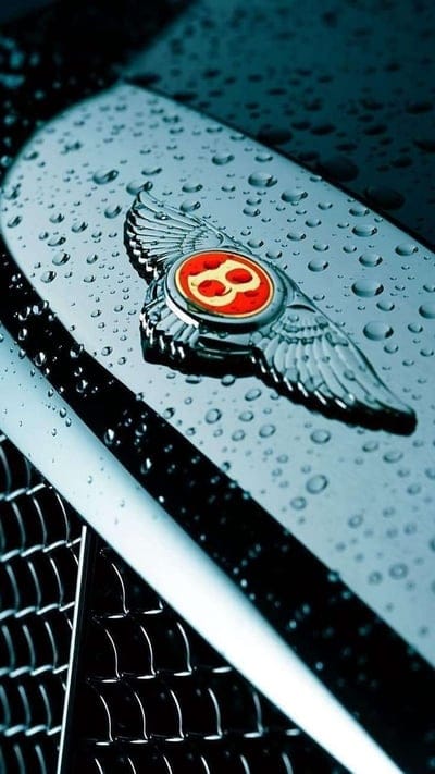 Bentley Wet Logo, bentley car, mobile wallpaper, android wallpaper, iPhone wallpaper, phone wallpaper