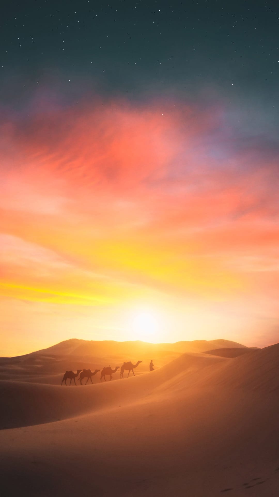 A line of camels walks across orange sand dunes under a fiery sunset sky with emerging stars in the distance.