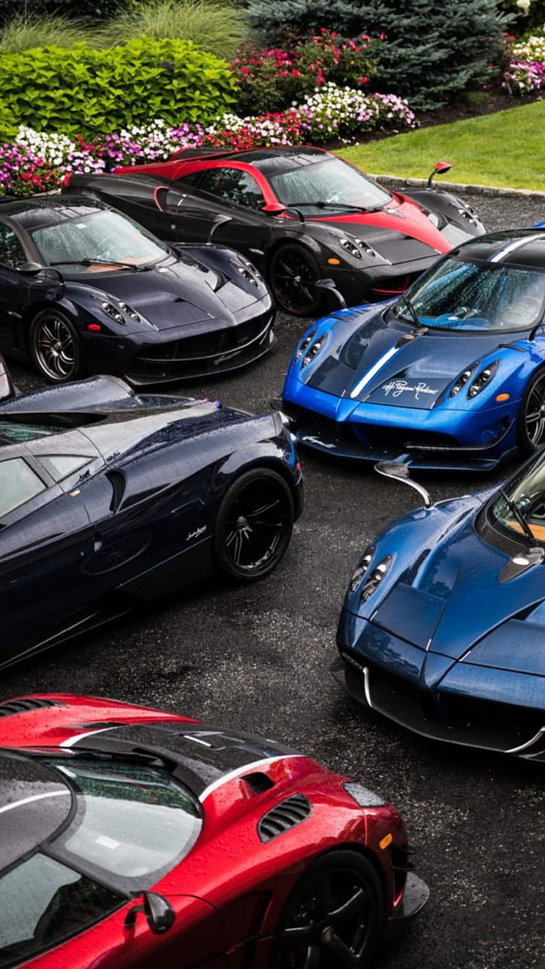 Three Pagani hypercars in blue and red parked on wet asphalt before a lush green hedge and colorful flowers.