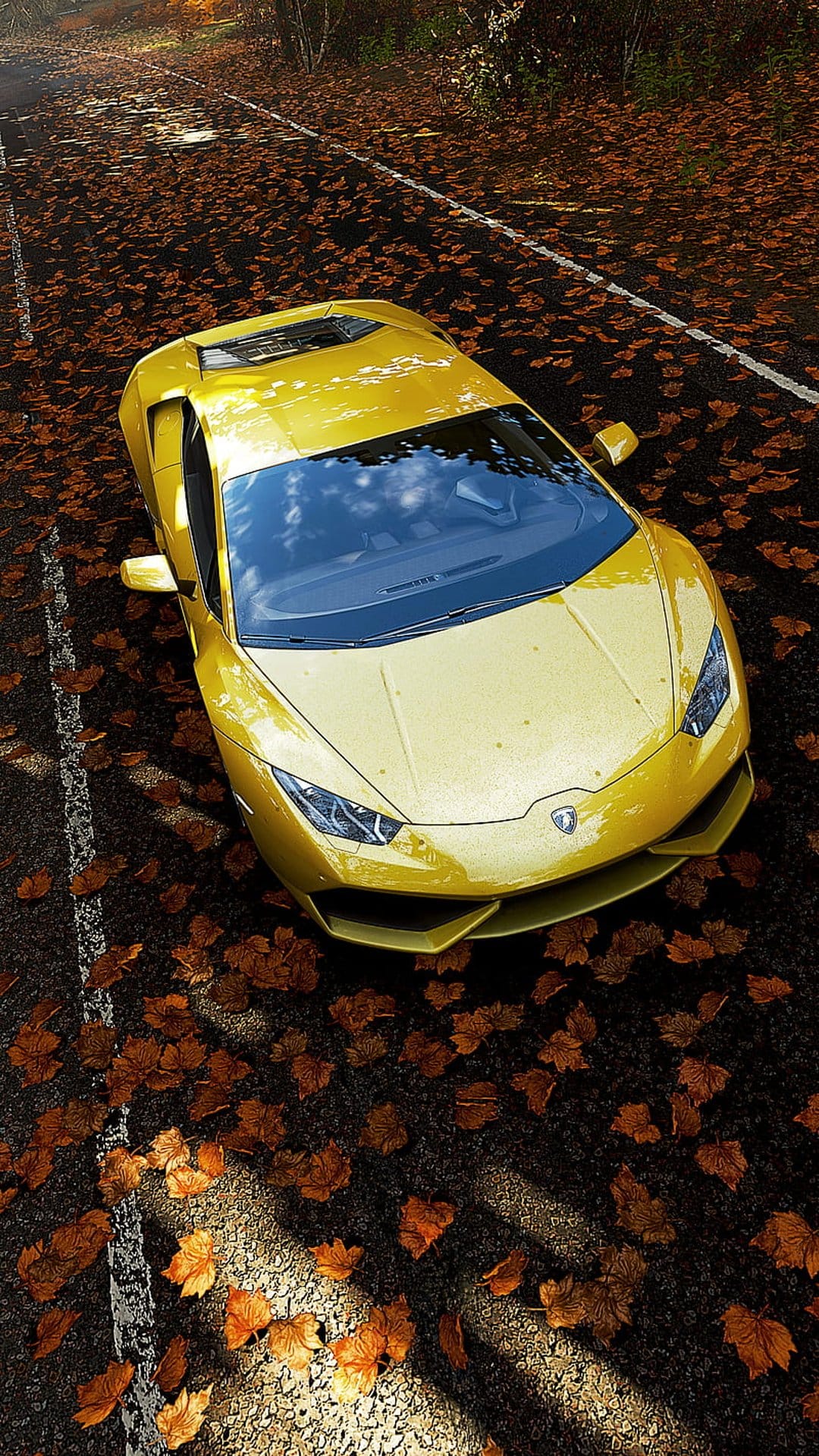 Yellow Lamborghini parked on a road covered in orange autumn leaves under dappled golden sunlight.