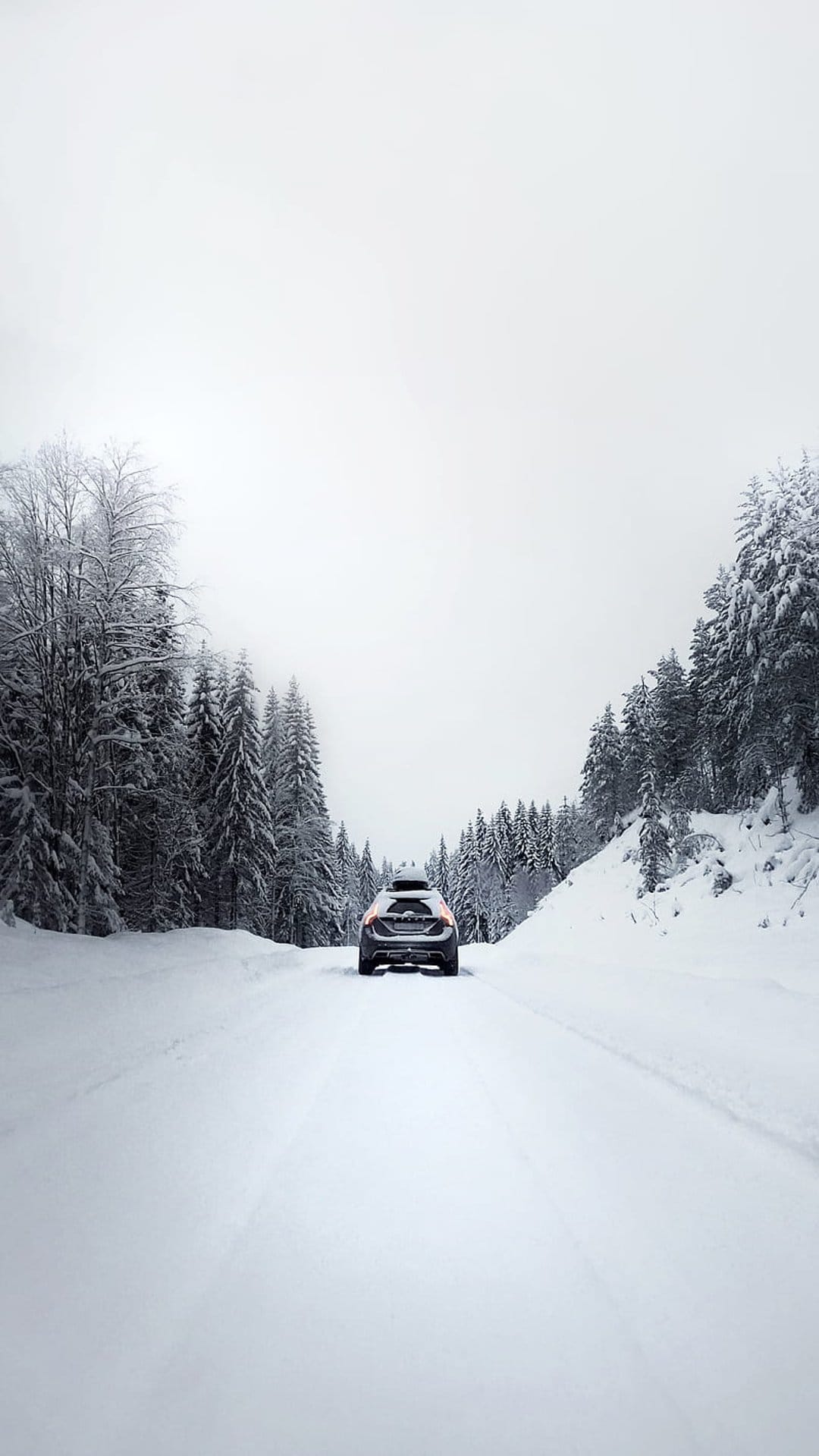 Car with a roof rack drives along a snowy road flanked by tall pine trees in a quiet winter forest setting.