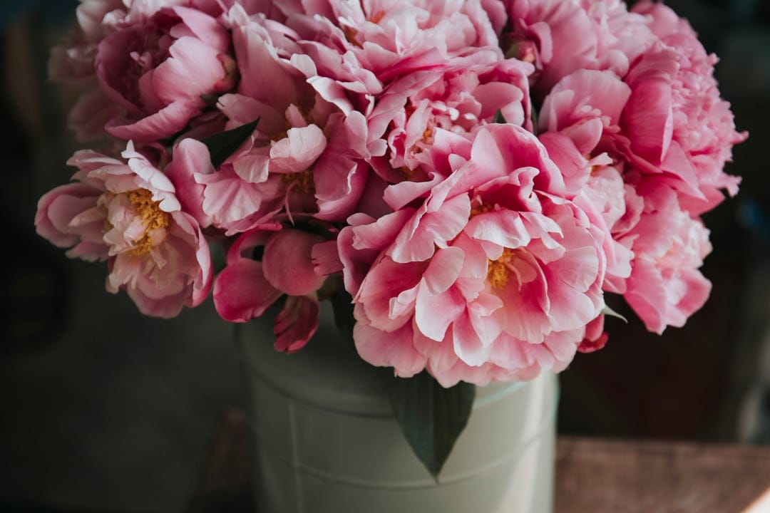 Pink peonies with yellow stamens overflow from a light green metal vase against a soft-focus rustic background.