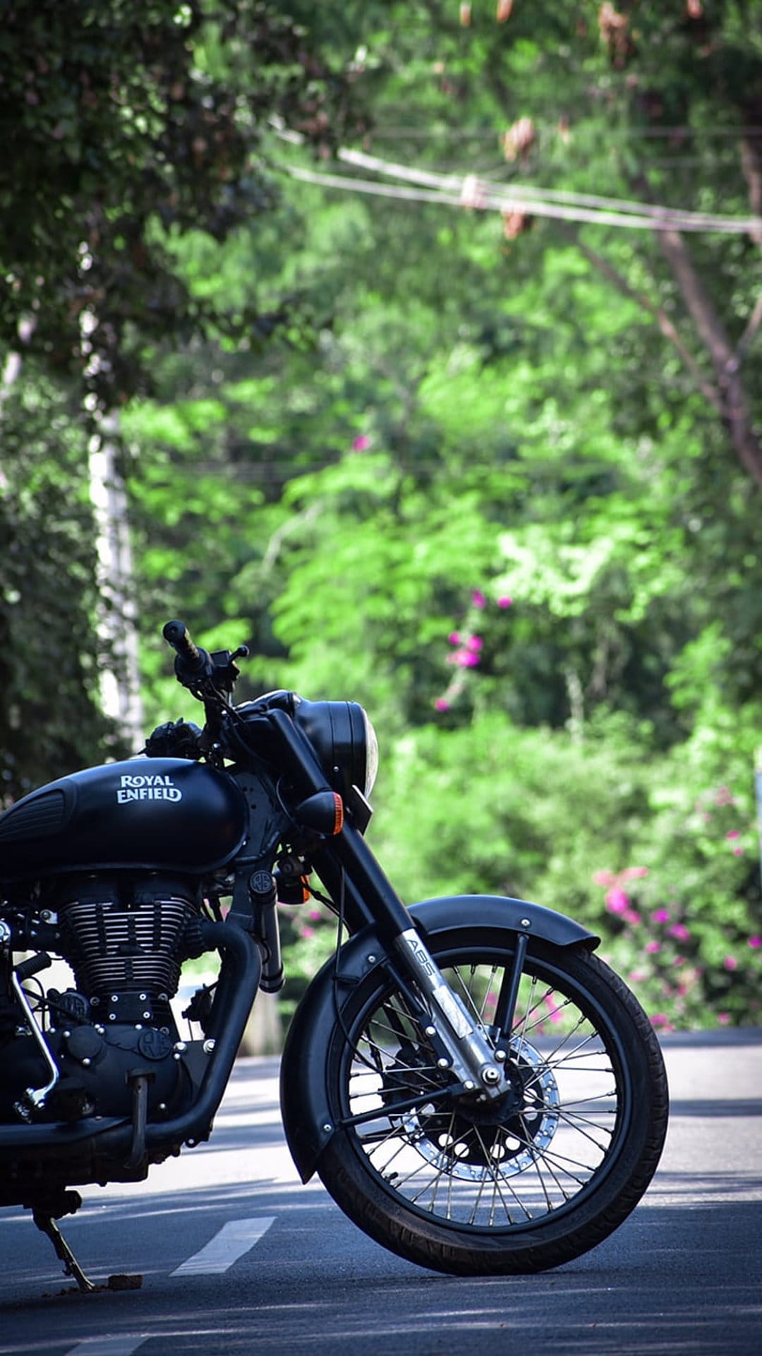 Black Royal Enfield motorcycle with chrome engine parts parked on a paved road beside green trees and pink flowers.