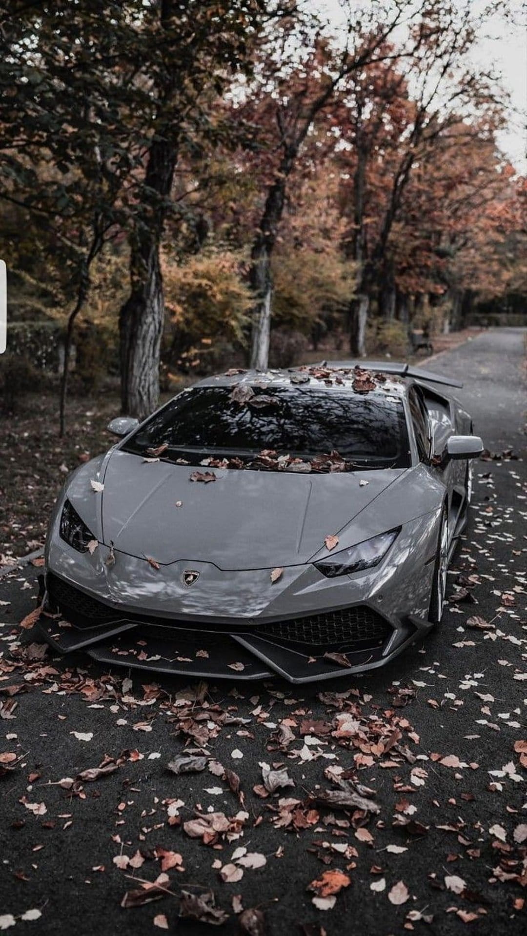 Gray Lamborghini supercar covered in orange autumn leaves parked on a rural road surrounded by vibrant fall trees.