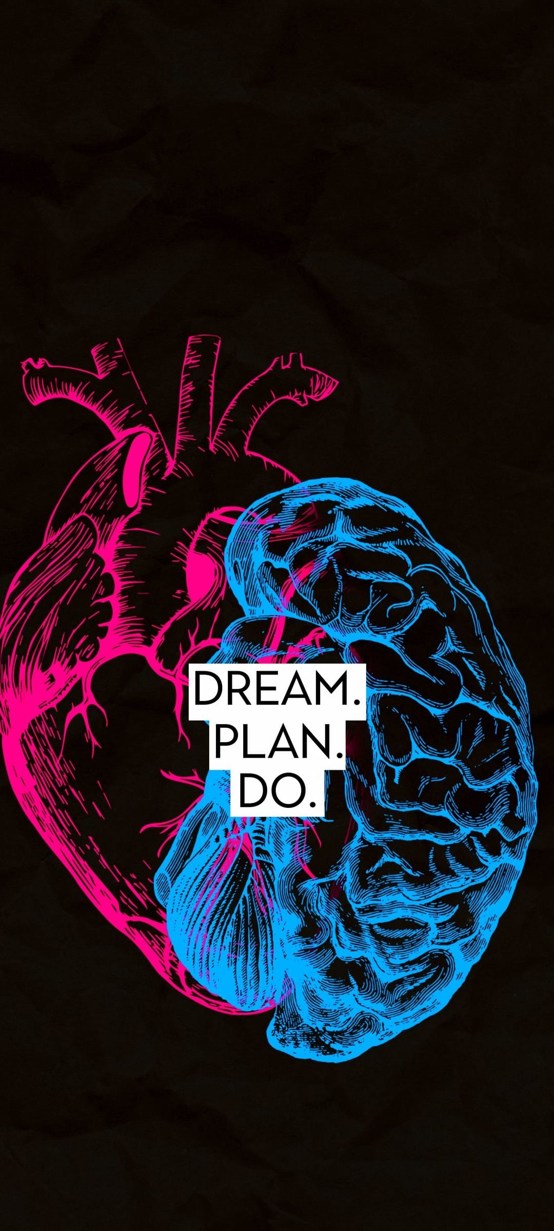 Pink heart and blue brain side-by-side with the white text DREAM PLAN DO centered on a minimalist background.