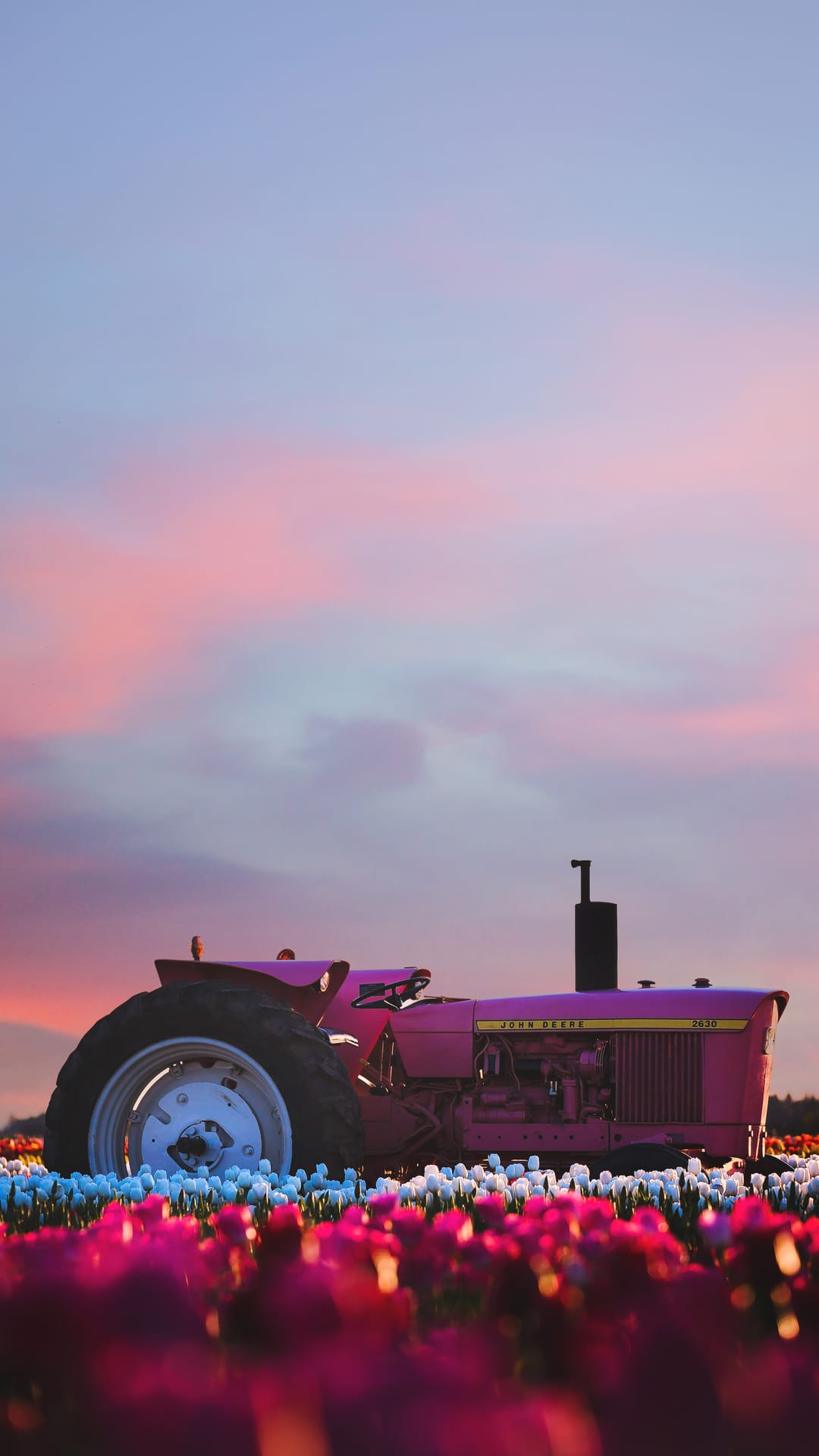 Pink tractor parked in a vibrant field of red and pink tulips under a soft purple and pink sunset sky at dusk.