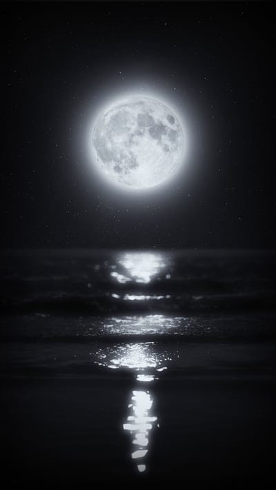 moon,light,water,night,black and white,black