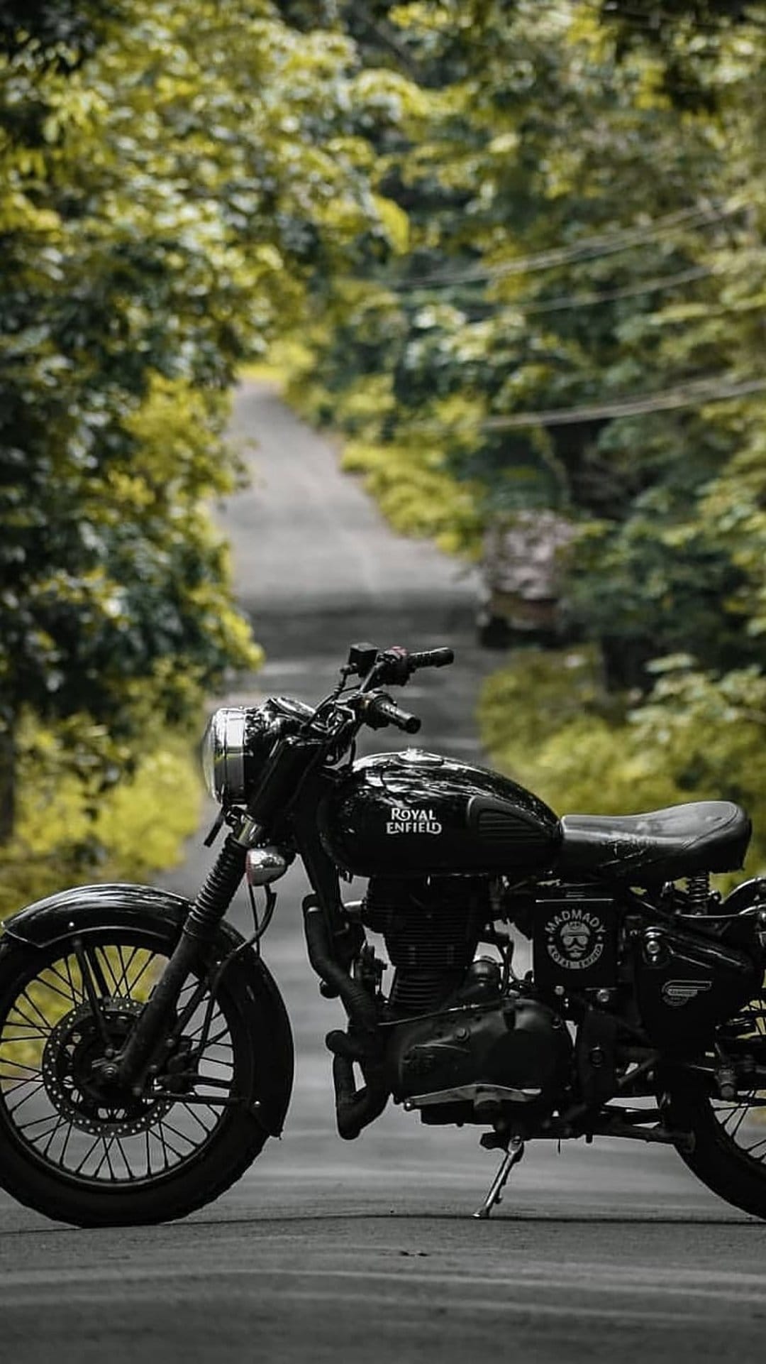 Royal Enfield motorcycle parked on a paved road flanked by tall green trees and soft woodland sunlight.