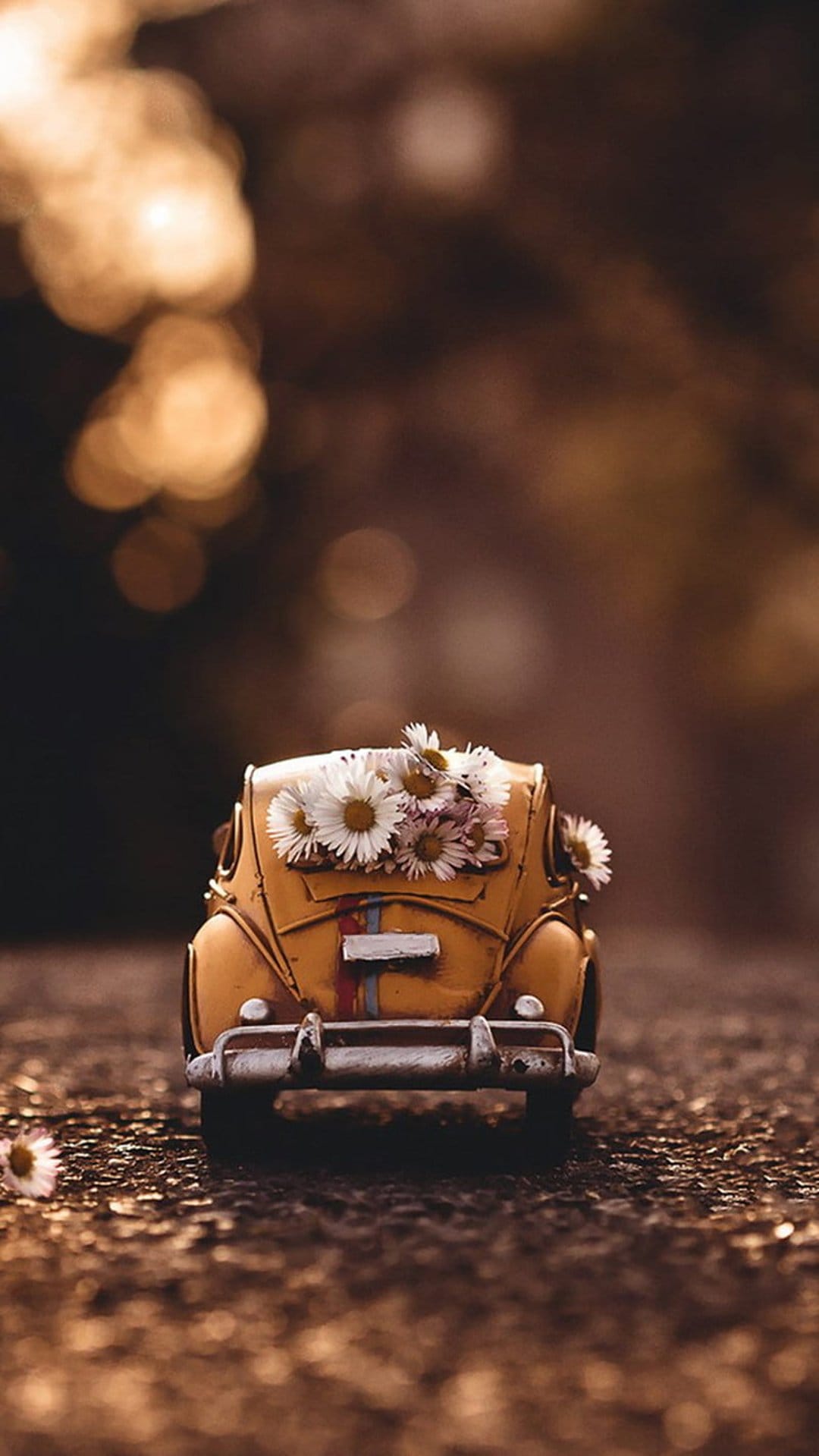 Yellow vintage toy car with white daisies in the trunk on a rustic road under golden bokeh lights.