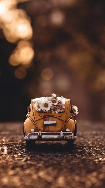 Car, carros, flower, mobile wallpaper, android wallpaper, iPhone wallpaper, phone wallpaper