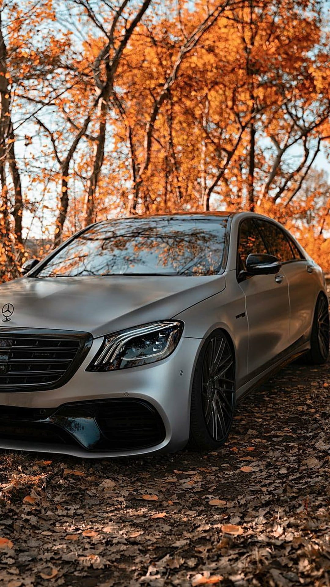 Silver luxury sedan parked on a leaf-covered path under orange autumn trees with metallic reflections.