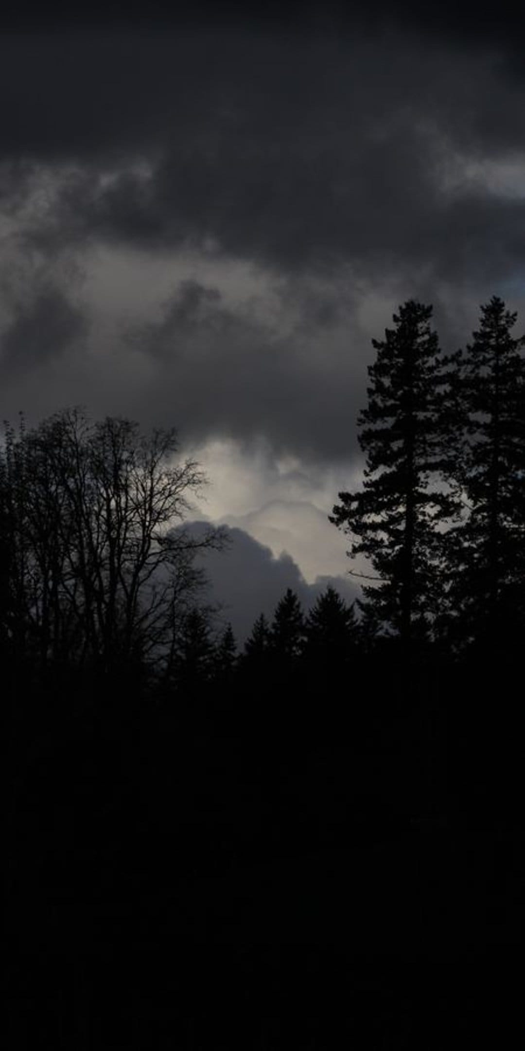 Dark storm clouds gather over silhouetted forest trees and bare branches in a vertical moody nature scene.