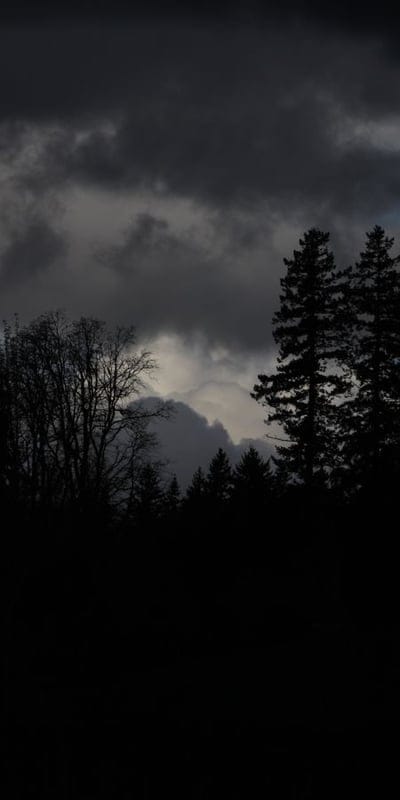 Dark clouds, forest, silhouettes, stormy sky, moody, nature, ominous, wilderness, trees, landscape, dramatic, gloomy, overcast, natural beauty, weather, atmosphere, brooding, wild, outdoor, somber.