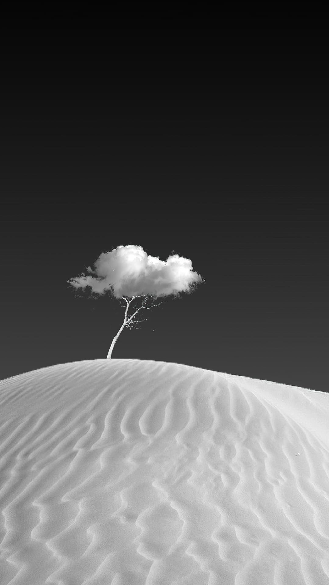 Bare tree with a white cloud canopy grows on a dark sand dune crest under a black sky in monochrome tones.