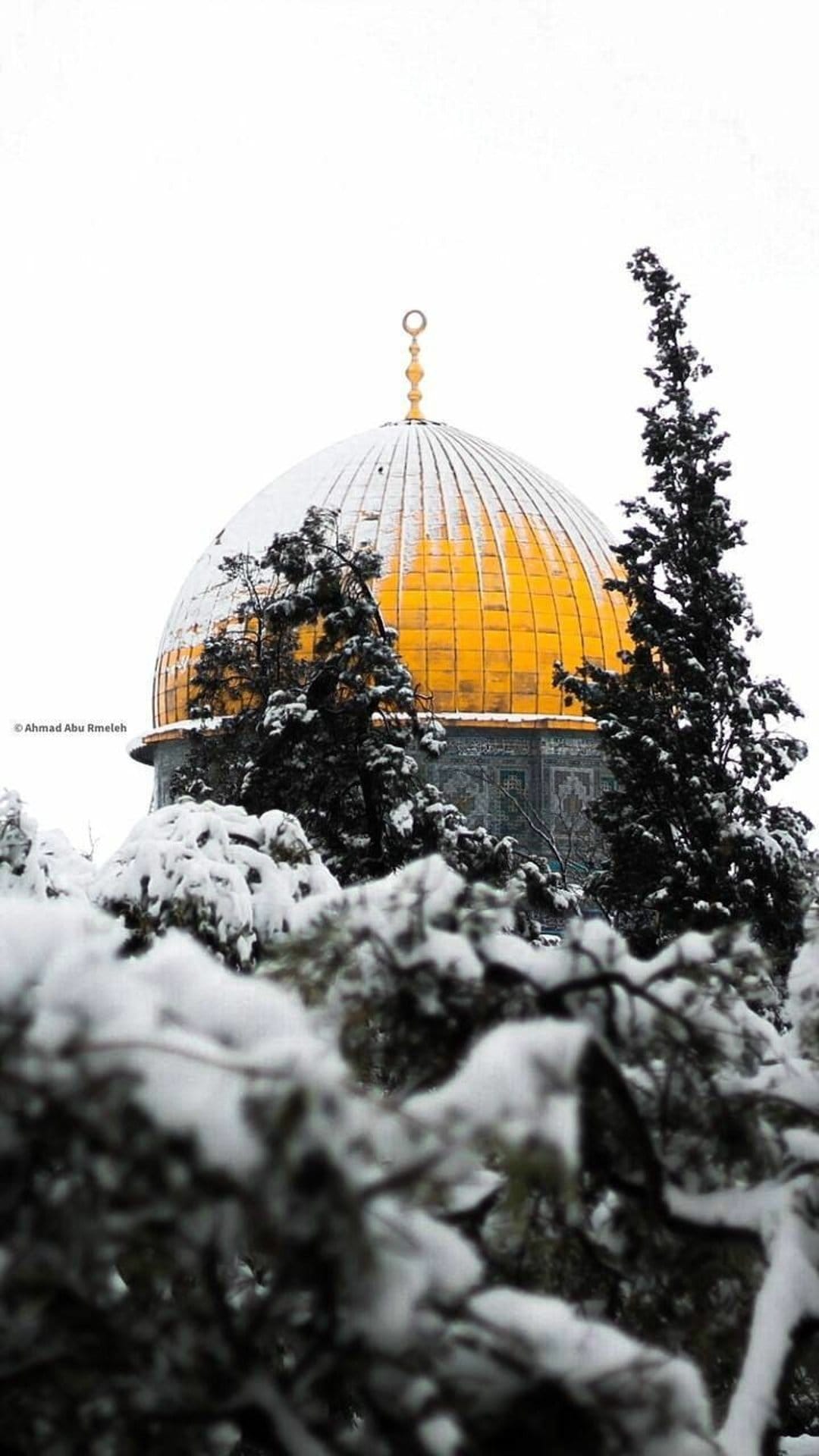 Golden Dome of the Rock features fresh snow with frost-covered trees framing the ancient stone courtyard.