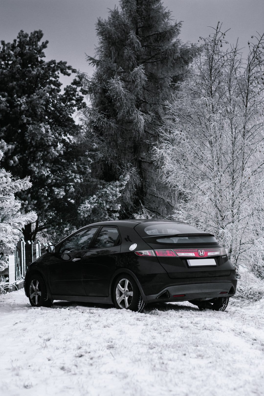 Black Honda Civic hatchback stands amidst snow-covered trees and a frozen forest landscape under soft light.